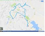 Решил завести крокодила