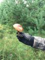 Велосипеды для семьи