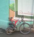 Кунсткамера