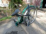 Особенности сельского крокодиловодства