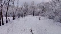 Снова выпал снег ))