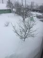 Велосипеды для семьи