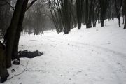 ЖЗЛ. Реально не віртуально.