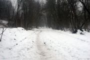 ЖЗЛ. Реально не віртуально.