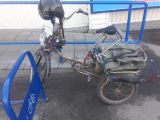 Кунсткамера