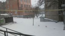 Снова выпал снег ))