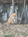 Велосипеды для семьи