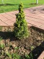 Велосипеды для семьи