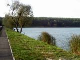 Крокоспорт