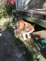 ЖЗЛ. Реально не віртуально.