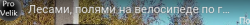 Вело-bash