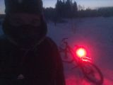 Крокодилы пермского периода.