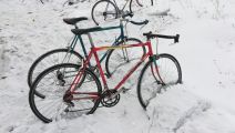 Крокоспорт