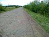 Крокодилы пермского периода.