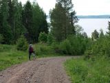 Крокодилы пермского периода.