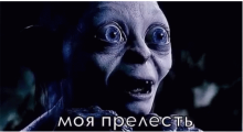 "Моя велоконюшня"