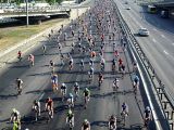 Крокоспорт