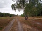 Крокоспорт