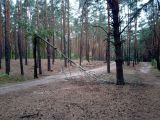 Крокоспорт