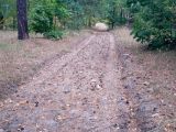 Крокоспорт