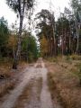 Крокоспорт