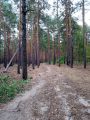 Крокоспорт