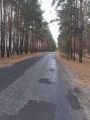 Железная берлога