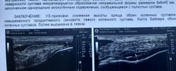 Железная берлога