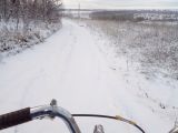 Снова выпал снег ))