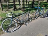 Железная берлога