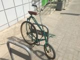 Кунсткамера