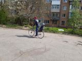 Мои крокодилы