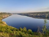 Мои крокодилы