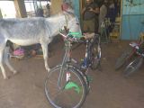 Велосипеды в Судане