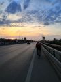 Крокоспорт