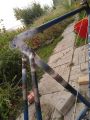 Попытка развести крокодилов в Сибири