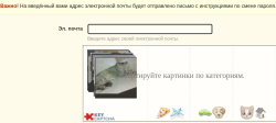 Гостям форума. Вопросы и ответы 2024