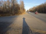 Попытка развести крокодилов в Сибири