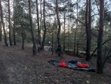 Сура и Аист