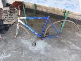 Помогите определить  велосипед, раму, детали. Без регистрации.