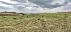 На крокодиле по Дагестану