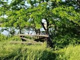 Он сказал — поехали! И махнул...