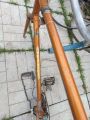 Попытка развести крокодилов в Сибири Попытка развести крокодилов в Сибири