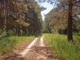 На крокодиле в ПВД: Коломна — Ступино
