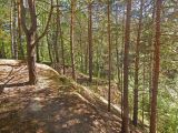 На крокодиле в ПВД: Коломна — Ступино