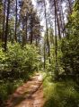 На крокодиле в ПВД: Коломна — Ступино