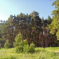 На крокодиле в ПВД: Коломна — Ступино