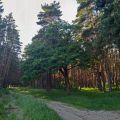 На крокодиле в ПВД: Коломна — Ступино
