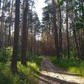 На крокодиле в ПВД: Коломна — Ступино