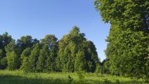 На крокодиле в ПВД: Коломна — Ступино